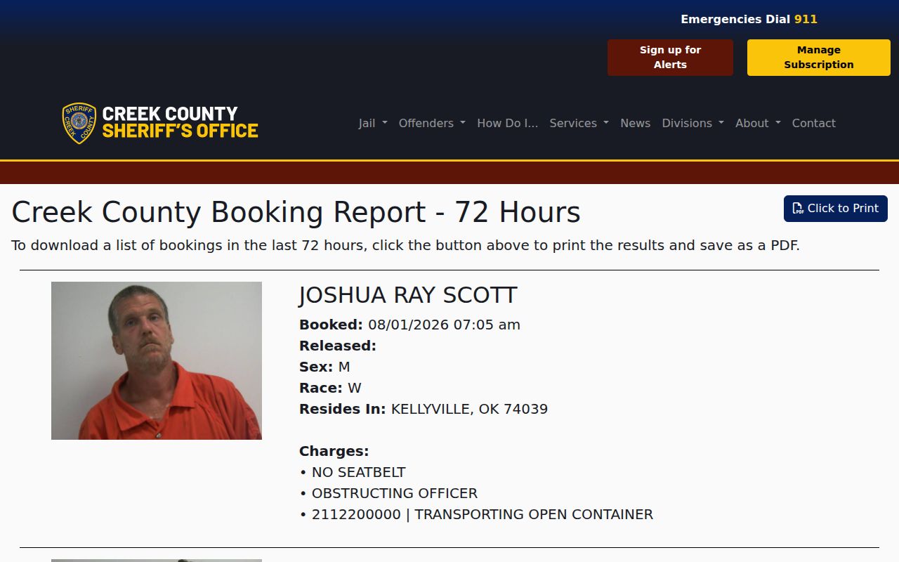 Creek County released inmate mugshot and Released field in 72-hour report
